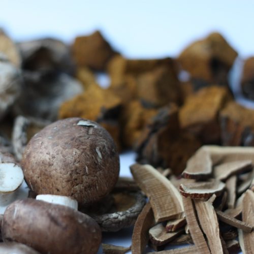 Mushrooms